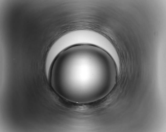 X0000088740411200705311451