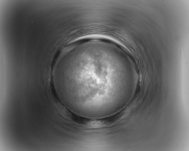 X0000088740413200705311451