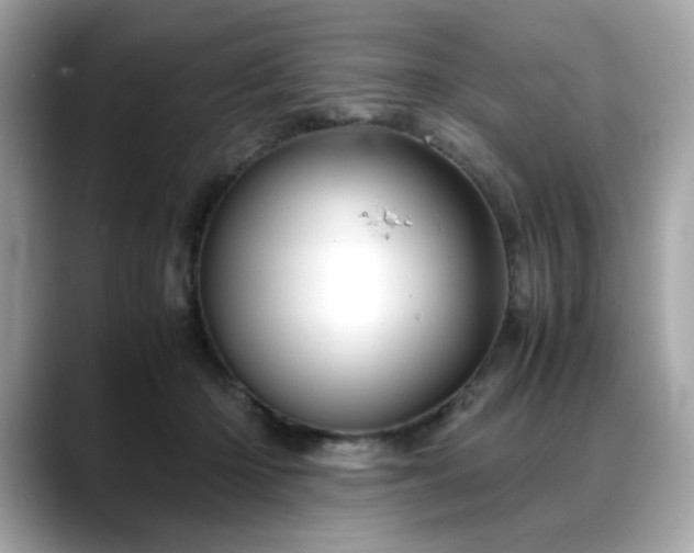 X0000088740414200705311451