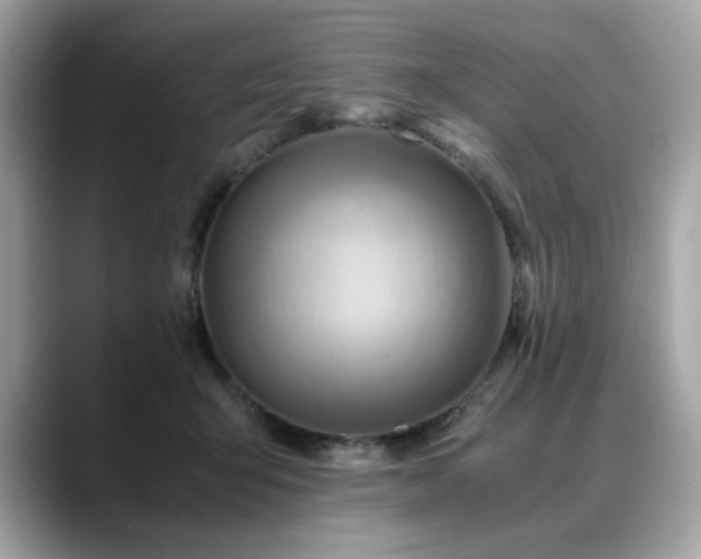X0000088740415200705311451
