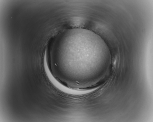 X0000088740416200705311451