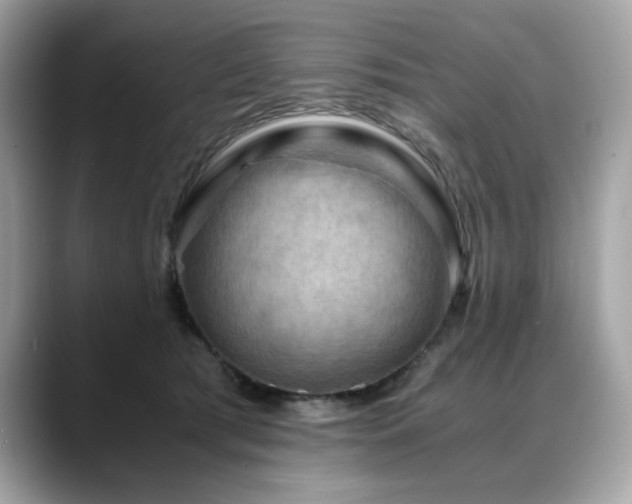 X0000088740417200705311451