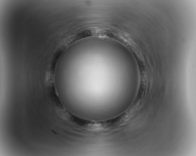 X0000088740419200705311451