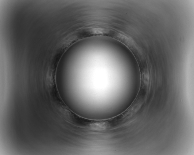 X0000088740422200705311451