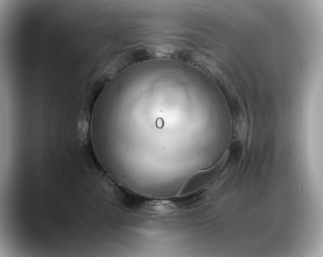 X0000088740427200705311451