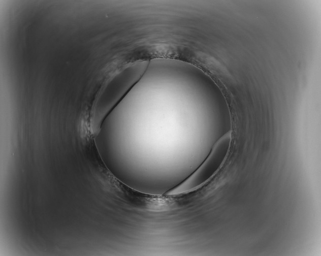 X0000088740432200705311450