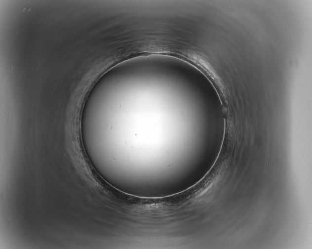 X0000088740433200705311450