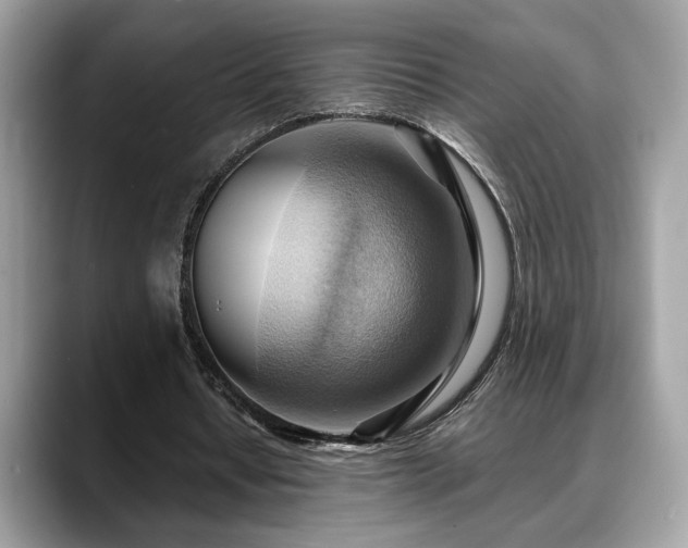 X0000088740434200705311450