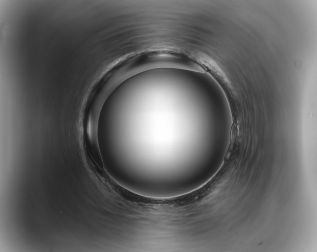 X0000088740436200705311450