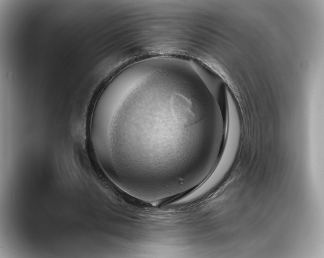 X0000088740438200705311450