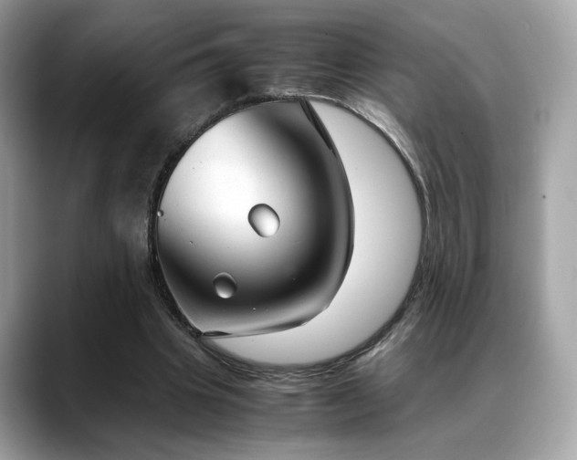 X0000088740441200705311450