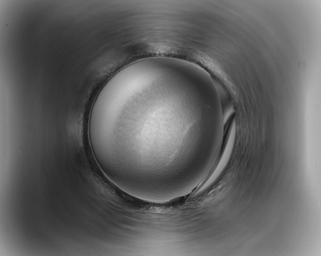 X0000088740442200705311450