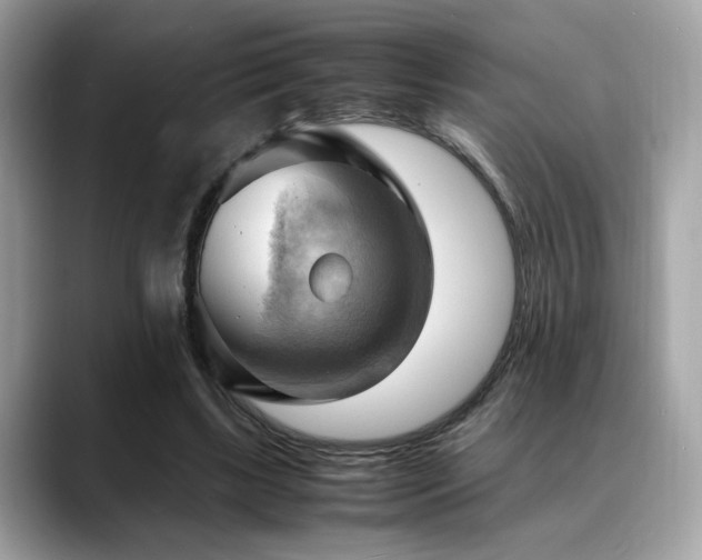 X0000088740443200705311450