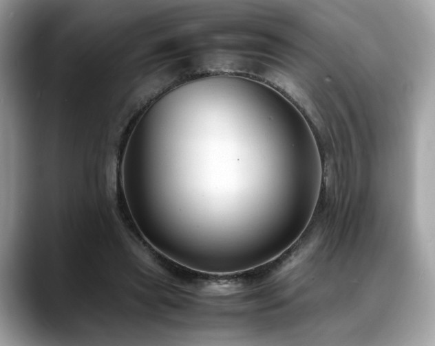 X0000088740445200705311450