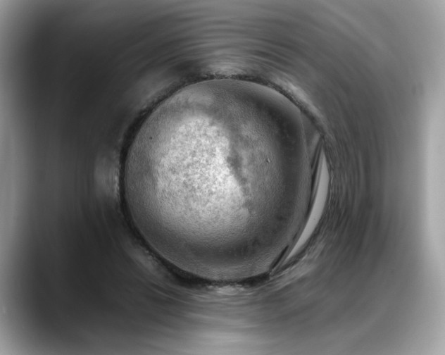 X0000088740446200705311450