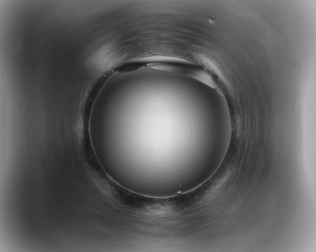 X0000088740447200705311450