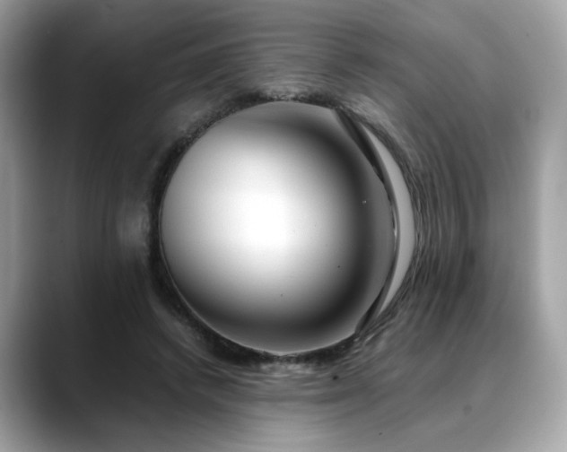 X0000088740448200705311450