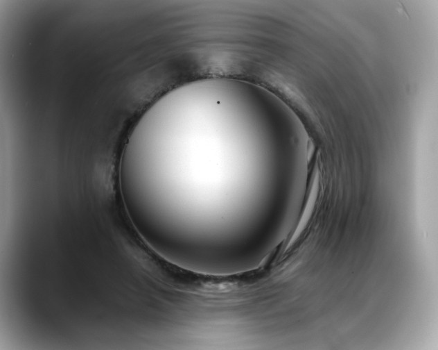 X0000088740450200705311450