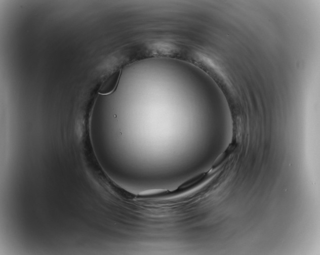 X0000088740451200705311450