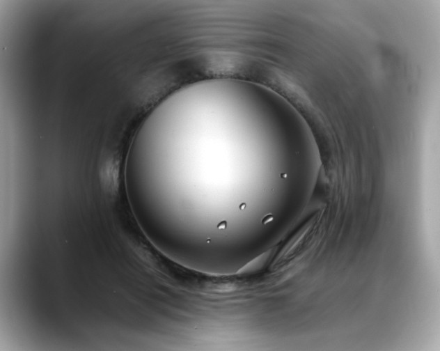 X0000088740454200705311450