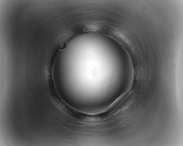 X0000088740455200705311450