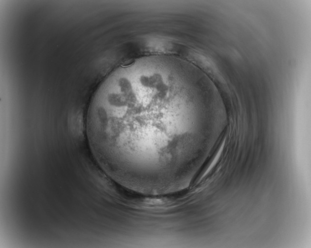 X0000088740457200705311450