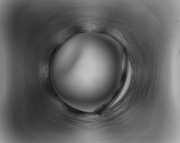 X0000088740458200705311450