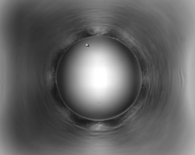 X0000088740460200705311450