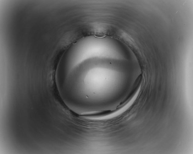 X0000088740462200705311450