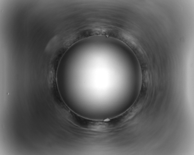 X0000088740463200705311450