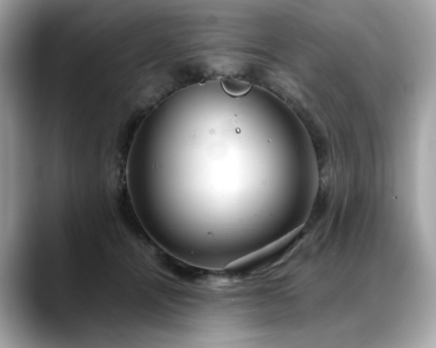 X0000088740464200705311450