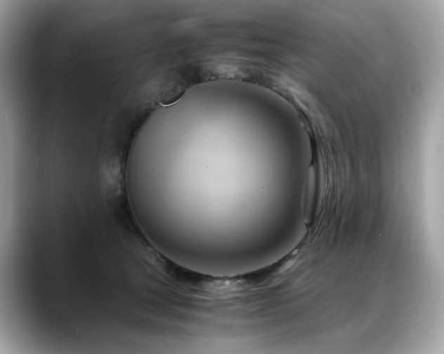 X0000088740465200705311450