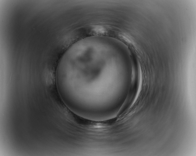X0000088740467200705311450