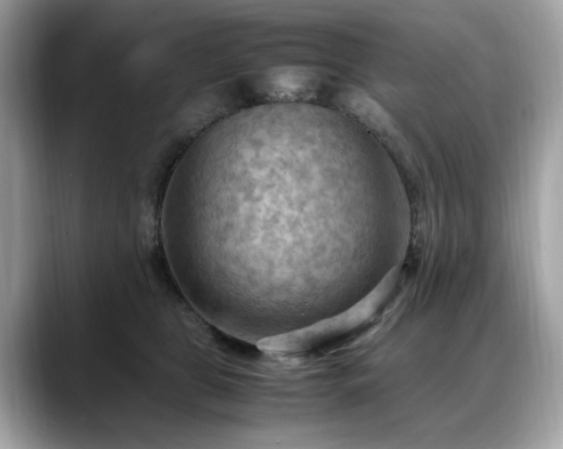 X0000088740469200705311450