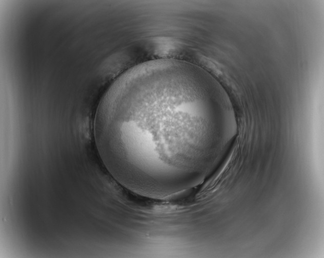 X0000088740470200705311450