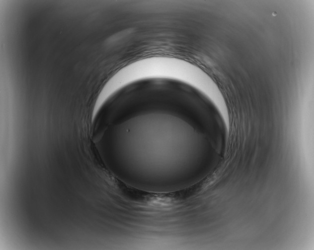 X0000088740471200705311450