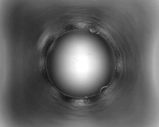 X0000088740473200705311450