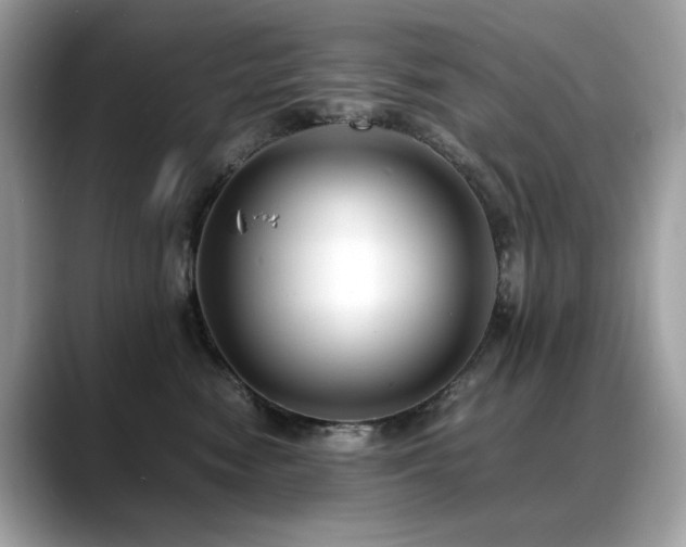 X0000088740474200705311450