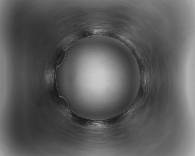 X0000088740475200705311450
