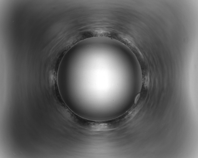 X0000088740476200705311450