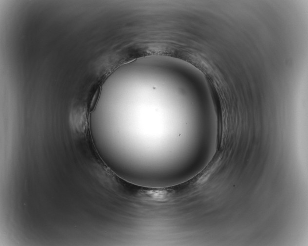 X0000088740478200705311450