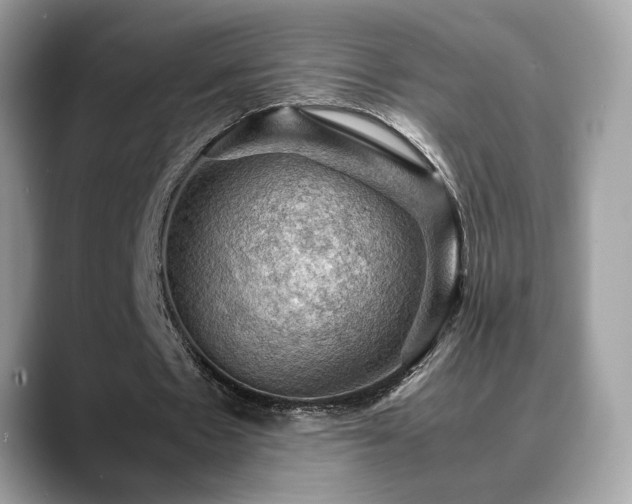 X0000088740481200705311450