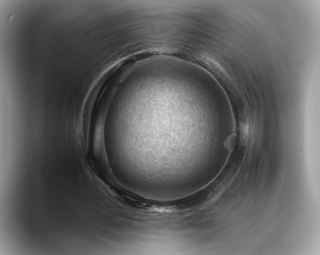 X0000088740484200705311450