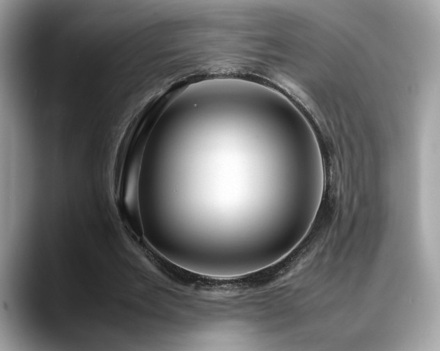 X0000088740485200705311450