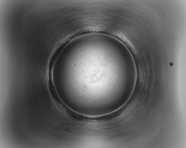 X0000088740486200705311450