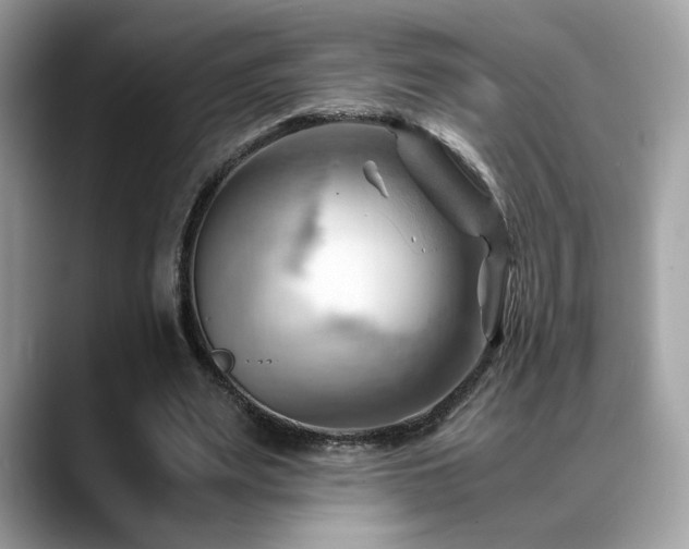 X0000088740487200705311450