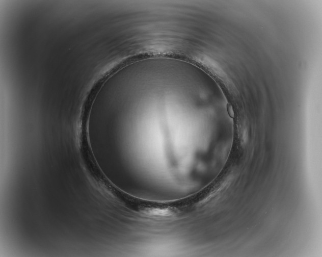 X0000088740488200705311450