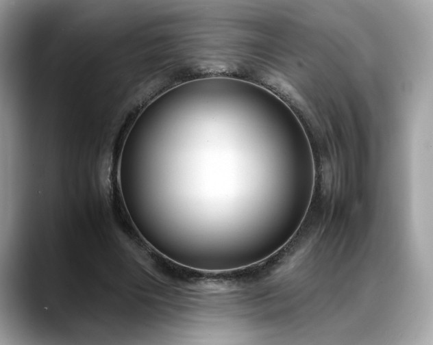 X0000088740490200705311450