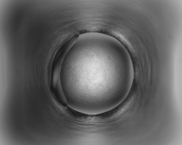 X0000088740493200705311450