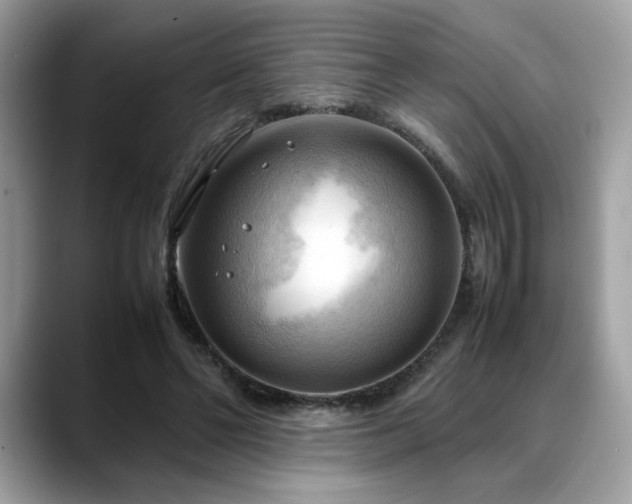 X0000088740494200705311450